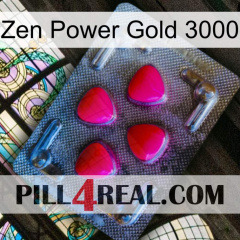 Zen Power Gold 3000 13